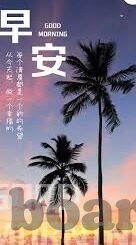 杏彩 登录网址-杏彩登录网址，探索多彩娱乐的新世界