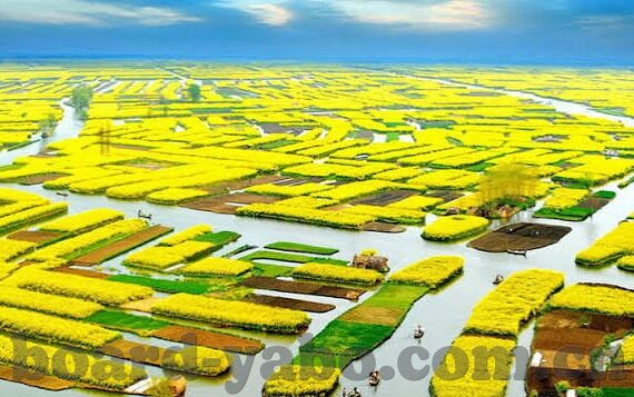 足球比分直播的-足球比分直播，一场跨越屏幕的热血狂欢与深度洞察